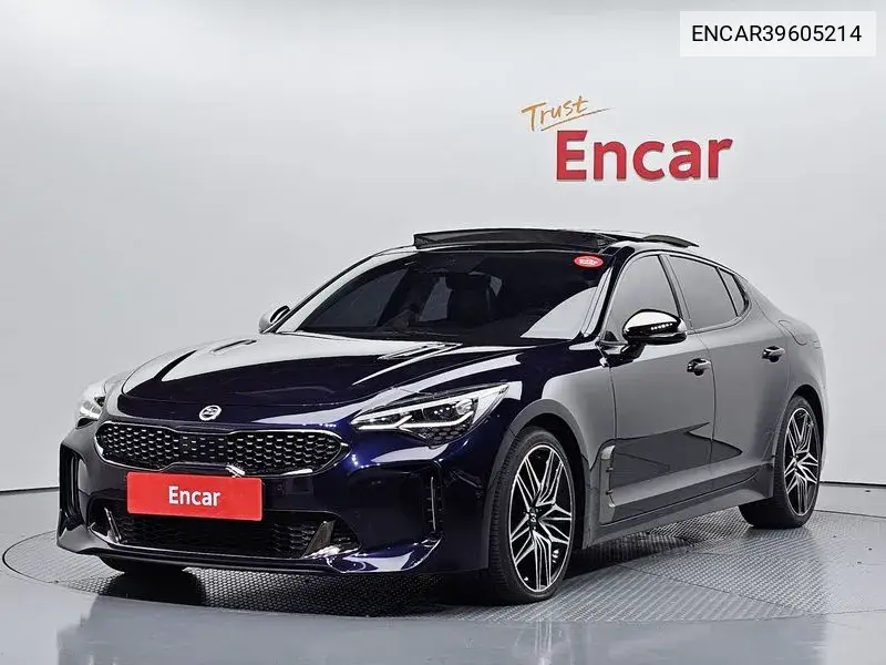 Stinger Meister 2.5 Masters VIN: ENCAR39605214 Lot: 39605214