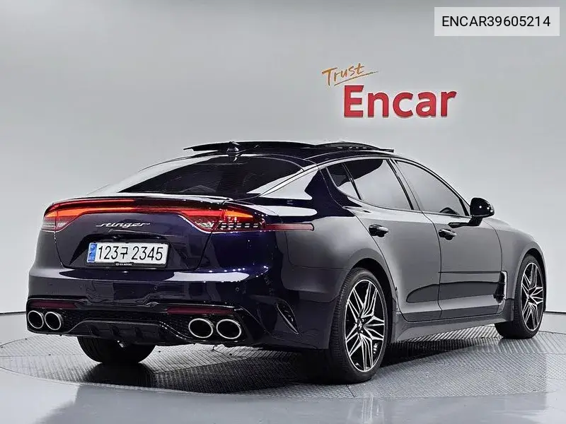 Stinger Meister 2.5 Masters VIN: ENCAR39605214 Lot: 39605214