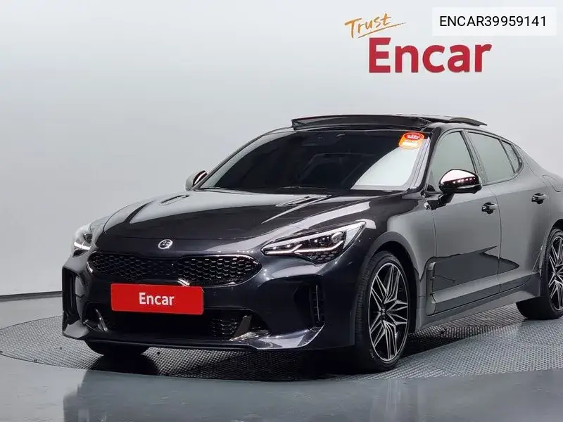 Stinger Meister 2.5 Masters VIN: ENCAR39959141 Lot: 39959141