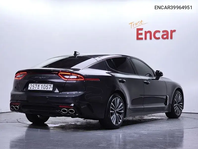 Stinger 2.0 Turbo 2Wd Platinum VIN: ENCAR39964951 Lot: 39964951