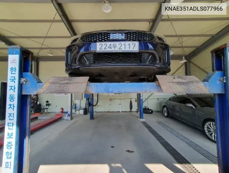 Stinger 2.0 Turbo Awd Platinum VIN: KNAE351ADLS077966 Lot: 40073221