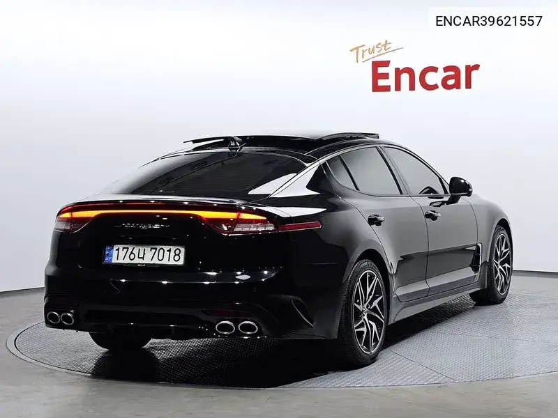Stinger Meister 2.5 Platinum VIN: ENCAR39621557 Lot: 39621557