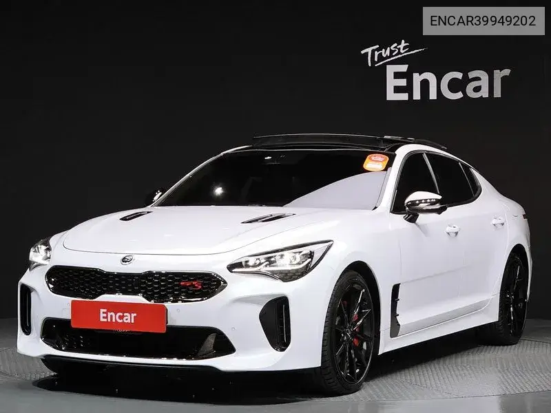 Stinger Meister 2.5 Masters VIN: ENCAR39949202 Lot: 39949202