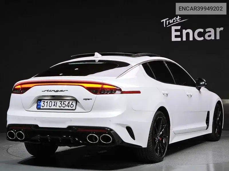 Stinger Meister 2.5 Masters VIN: ENCAR39949202 Lot: 39949202
