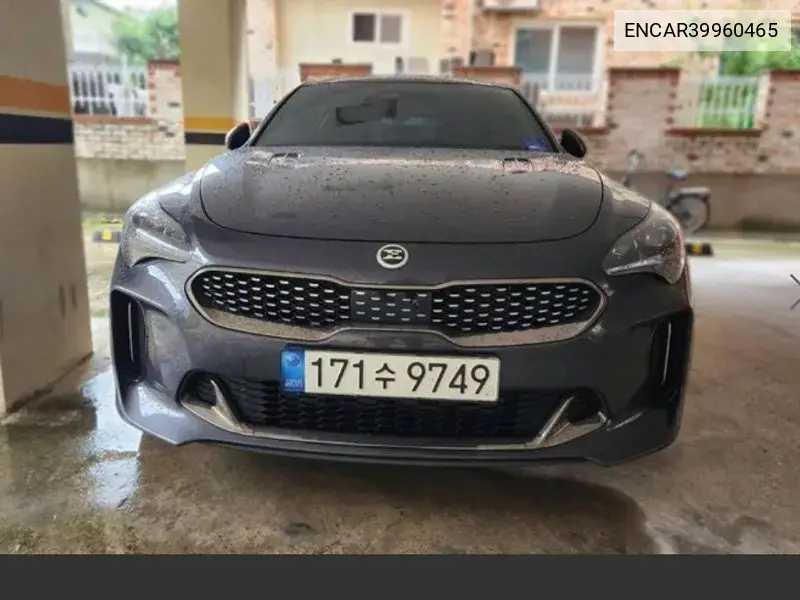 Stinger Meister 2.5 Masters VIN: ENCAR39960465 Lot: 39960465