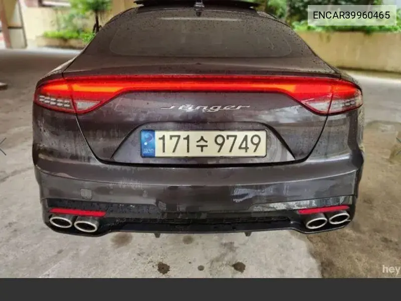 Stinger Meister 2.5 Masters VIN: ENCAR39960465 Lot: 39960465