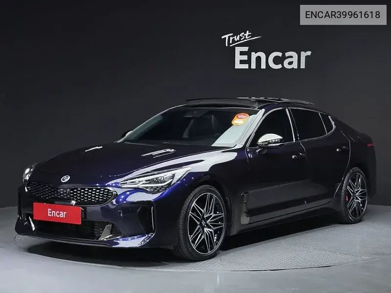 Stinger Meister 2.5 Masters VIN: ENCAR39961618 Lot: 39961618