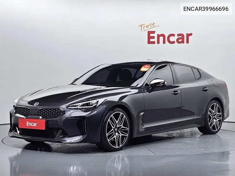 Stinger Meister 2.5 Masters VIN: ENCAR39966696 Lot: 39966696