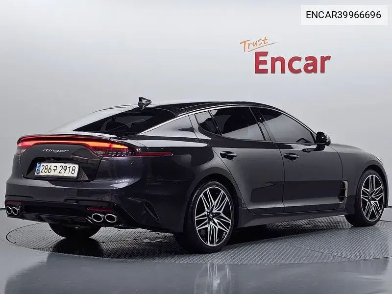 Stinger Meister 2.5 Masters VIN: ENCAR39966696 Lot: 39966696