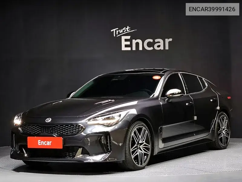 Stinger Meister 2.5 Masters VIN: ENCAR39991426 Lot: 39991426