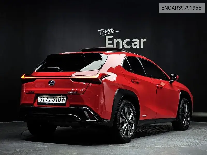 Ux250H 2.0 F-Sport 2Wd VIN: ENCAR39791955 Lot: 39791955