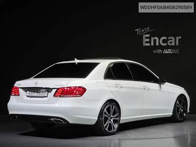 E-Class W212 E220 Bluetech Avant-Garde Sports VIN: WDDHF0AB4GB290589 Lot: 39967256