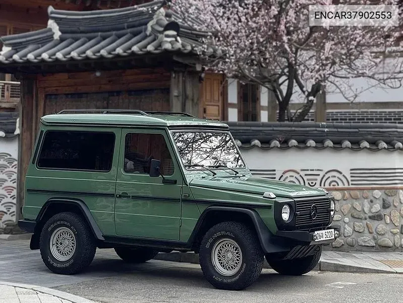 G-Class W463 G300 VIN: ENCAR37902553 Lot: 37902553