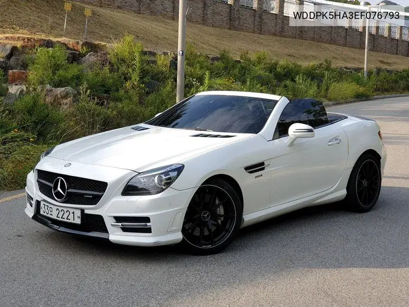 New Slk-Class 350 Blue Efficiency R172 VIN: WDDPK5HA3EF076793 Lot: 39832606