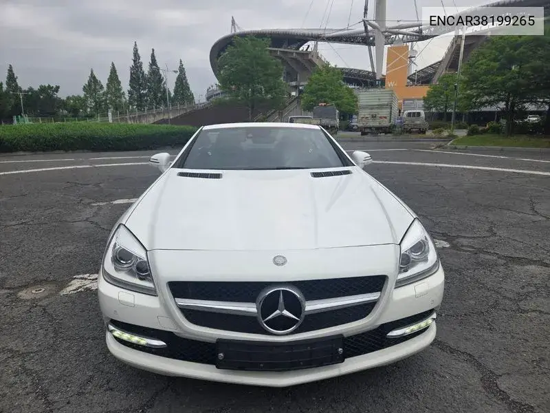New Slk-Class 200 Blue Efficiency R172 VIN: ENCAR38199265 Lot: 38199265