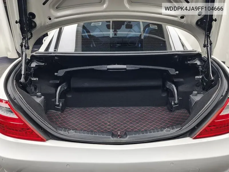 New Slk-Class 200 Blue Efficiency R172 VIN: WDDPK4JA9FF104666 Lot: 38649623