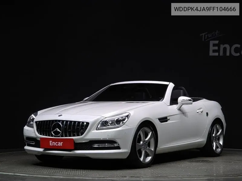 New Slk-Class 200 Blue Efficiency R172 VIN: WDDPK4JA9FF104666 Lot: 38649623