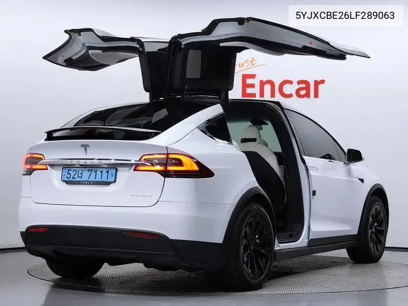 Model X Long Range VIN: 5YJXCBE26LF289063 Lot: 39371960