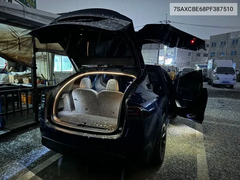 Model X Plaid VIN: 7SAXCBE68PF387510 Lot: 38795019