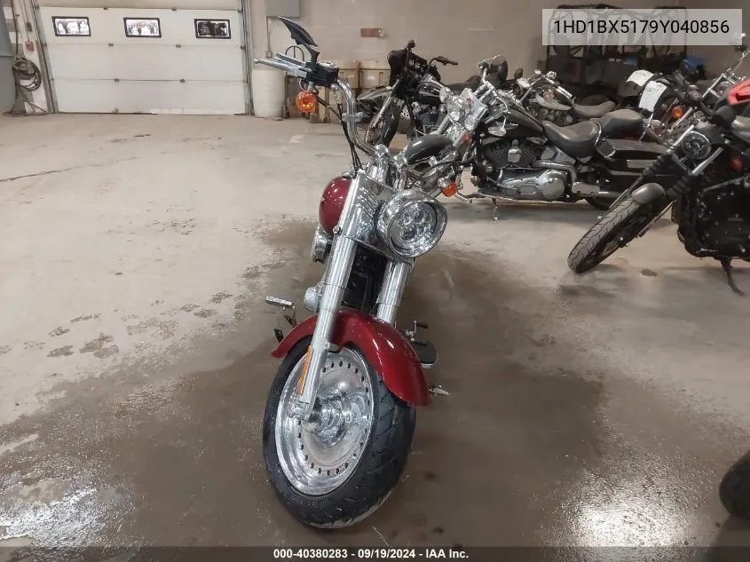 2009 Harley-Davidson Flstf VIN: 1HD1BX5179Y040856 Lot: 40380283