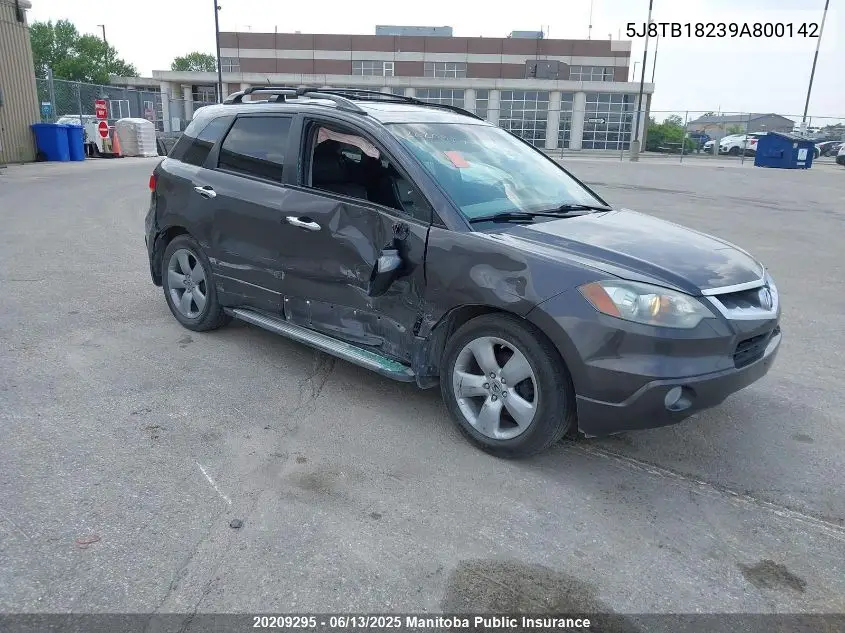 2009 Acura Rdx VIN: 5J8TB18239A800142 Lot: 20209295