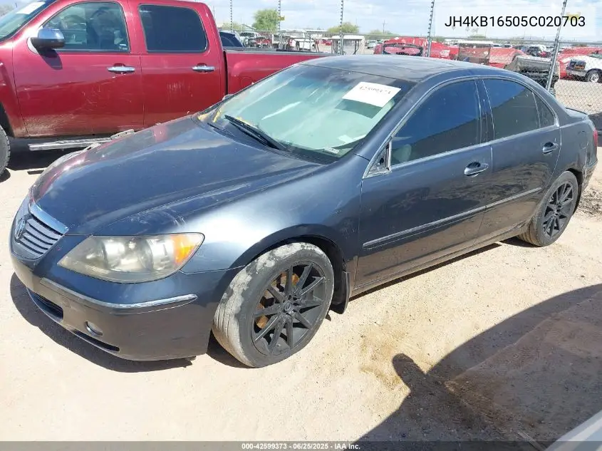 2005 Acura Rl 3.5 VIN: JH4KB16505C020703 Lot: 42599373