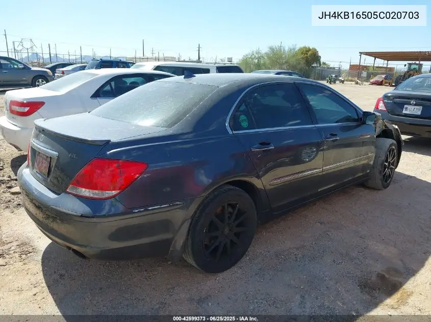2005 Acura Rl 3.5 VIN: JH4KB16505C020703 Lot: 42599373