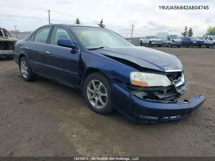 2002 Acura 3.2Tl Type-S VIN: 19UUA56842A804745 Lot: 12318213