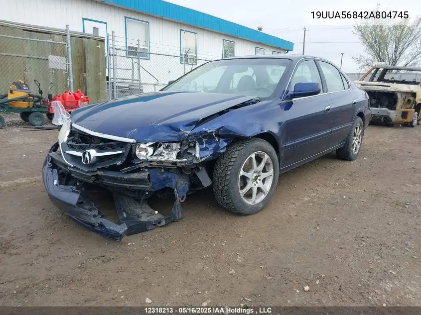 2002 Acura 3.2Tl Type-S VIN: 19UUA56842A804745 Lot: 12318213