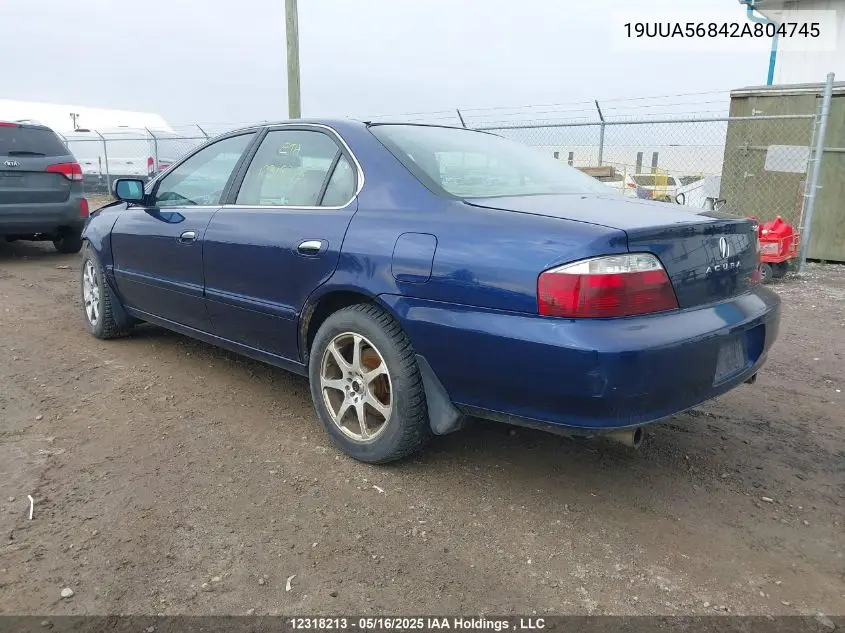 2002 Acura 3.2Tl Type-S VIN: 19UUA56842A804745 Lot: 12318213