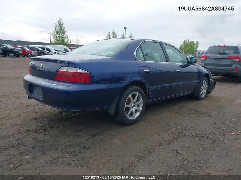 2002 Acura 3.2Tl Type-S VIN: 19UUA56842A804745 Lot: 12318213