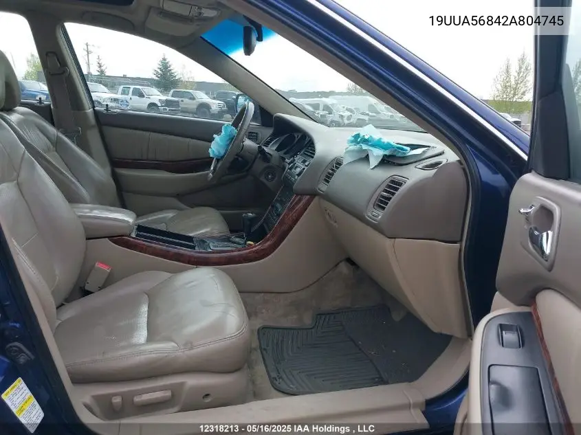 2002 Acura 3.2Tl Type-S VIN: 19UUA56842A804745 Lot: 12318213