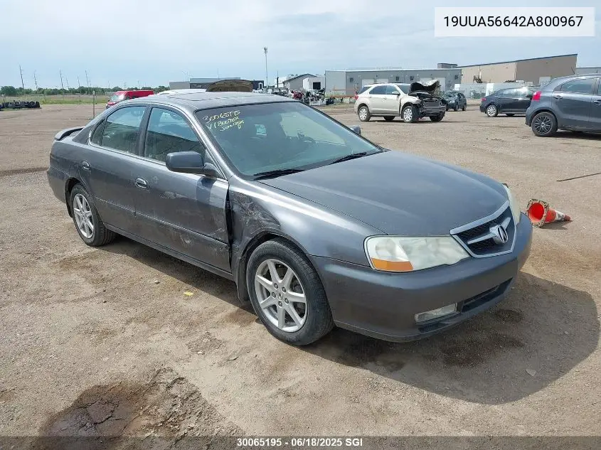2002 Acura 3.2Tl VIN: 19UUA56642A800967 Lot: 30065195