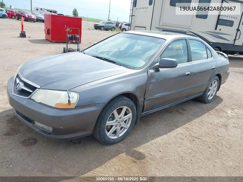 2002 Acura 3.2Tl VIN: 19UUA56642A800967 Lot: 30065195