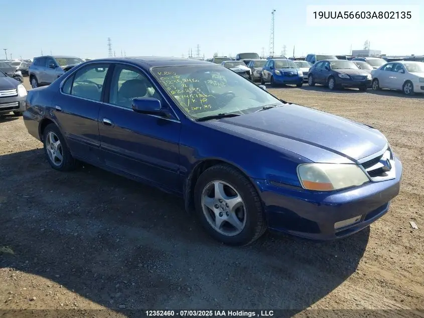 2003 Acura 3.2Tl VIN: 19UUA56603A802135 Lot: 12352460