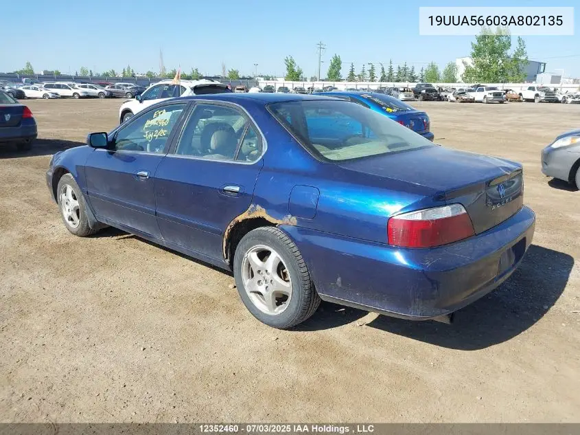 2003 Acura 3.2Tl VIN: 19UUA56603A802135 Lot: 12352460
