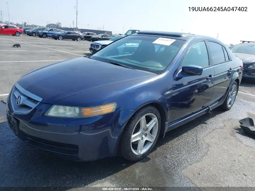 2005 Acura Tl VIN: 19UUA66245A047402 Lot: 42610137