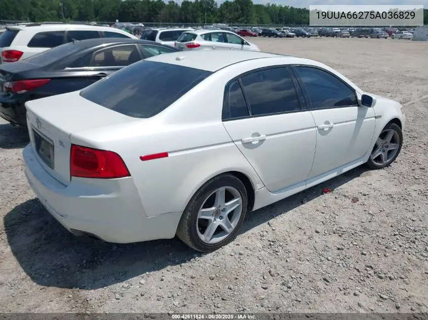 2005 Acura Tl VIN: 19UUA66275A036829 Lot: 42611524