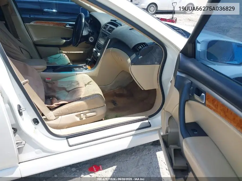 2005 Acura Tl VIN: 19UUA66275A036829 Lot: 42611524