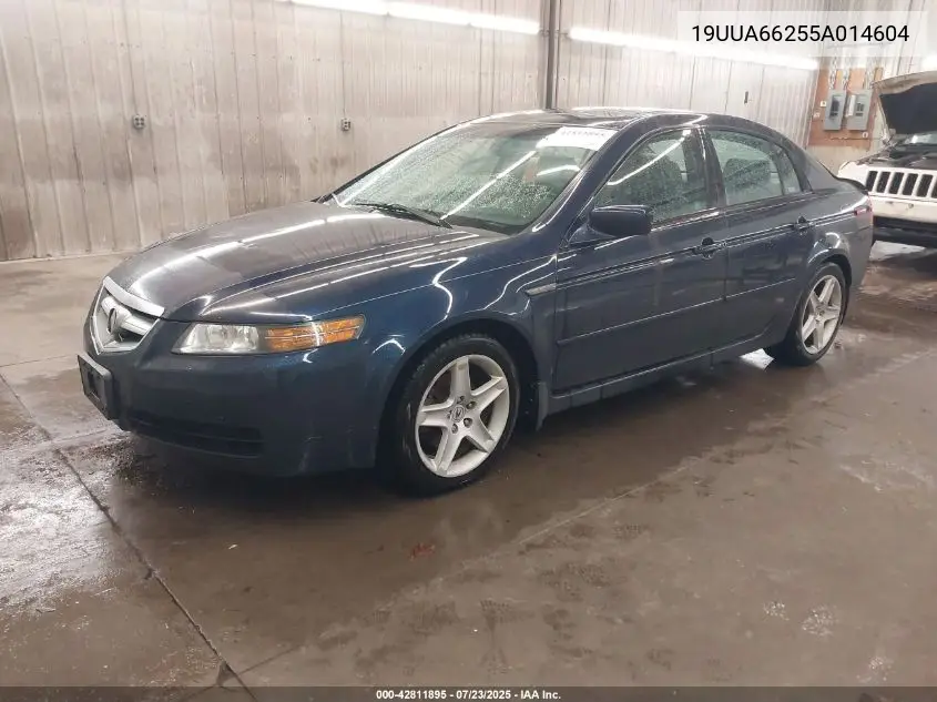 2005 Acura Tl VIN: 19UUA66255A014604 Lot: 42811895