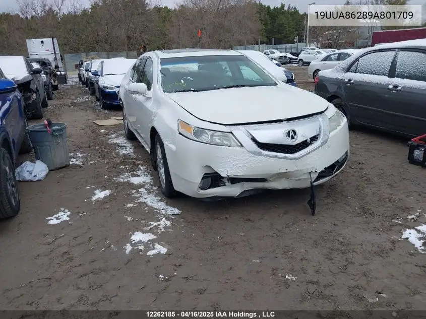 2009 Acura Tl VIN: 19UUA86289A801709 Lot: 12262185