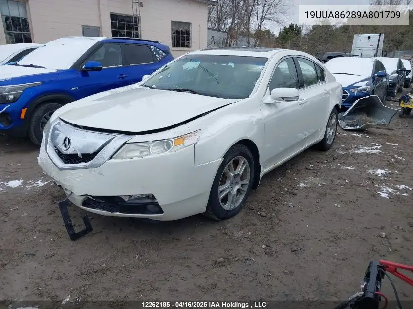2009 Acura Tl VIN: 19UUA86289A801709 Lot: 12262185