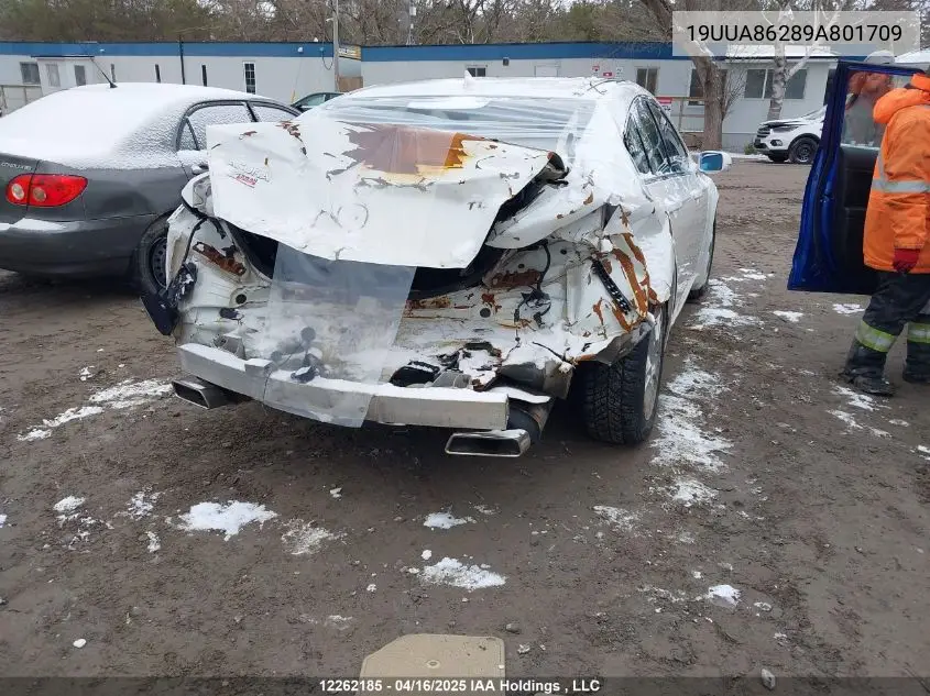 2009 Acura Tl VIN: 19UUA86289A801709 Lot: 12262185
