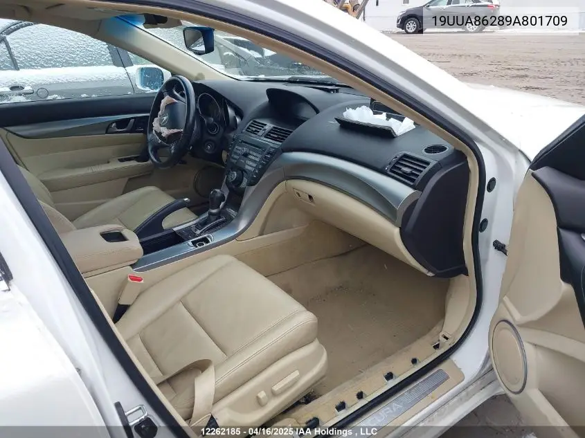 2009 Acura Tl VIN: 19UUA86289A801709 Lot: 12262185