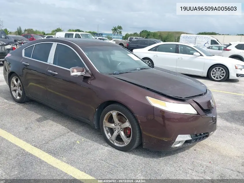 2009 Acura Tl 3.7/Tech VIN: 19UUA96509A005603 Lot: 42254781