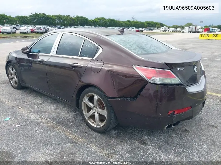 2009 Acura Tl 3.7/Tech VIN: 19UUA96509A005603 Lot: 42254781