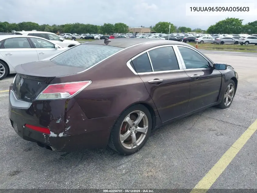 2009 Acura Tl 3.7/Tech VIN: 19UUA96509A005603 Lot: 42254781