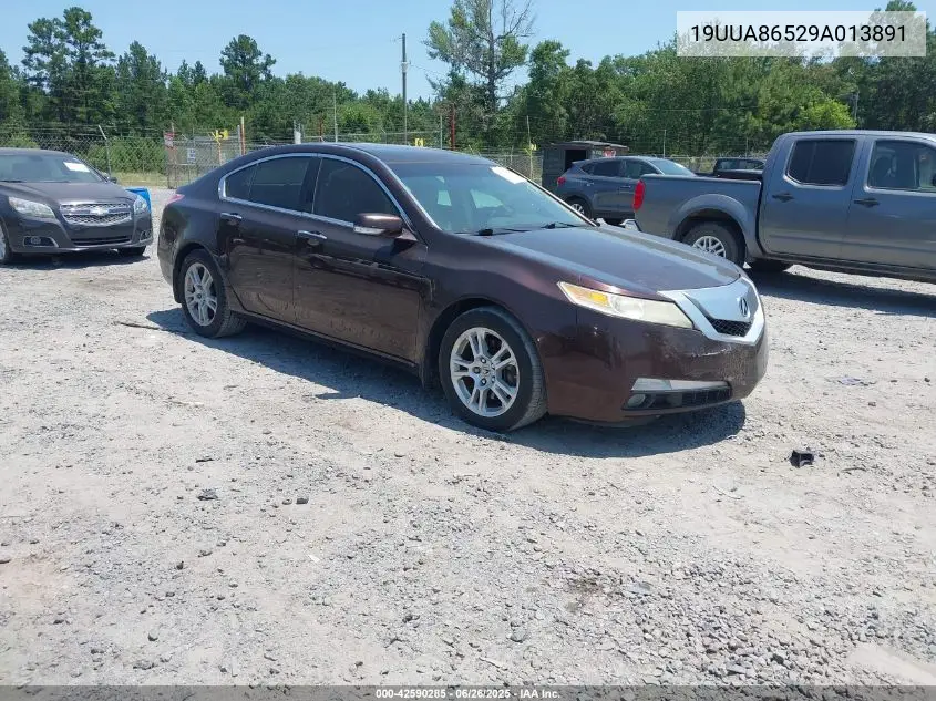 2009 Acura Tl VIN: 19UUA86529A013891 Lot: 42590285