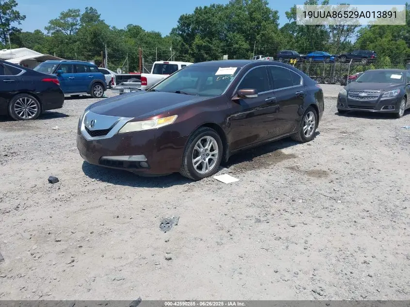 2009 Acura Tl VIN: 19UUA86529A013891 Lot: 42590285