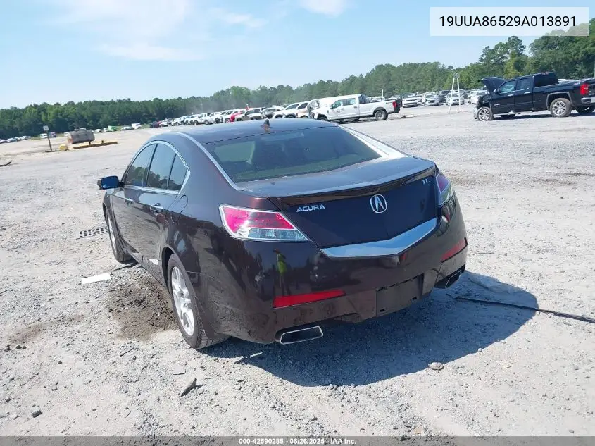 2009 Acura Tl VIN: 19UUA86529A013891 Lot: 42590285